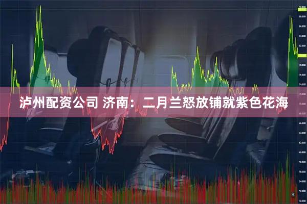 泸州配资公司 济南：二月兰怒放铺就紫色花海
