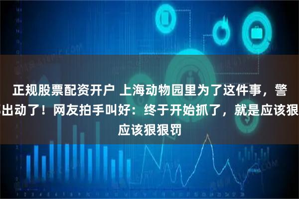 正规股票配资开户 上海动物园里为了这件事，警察都出动了！网友拍手叫好：终于开始抓了，就是应该狠狠罚